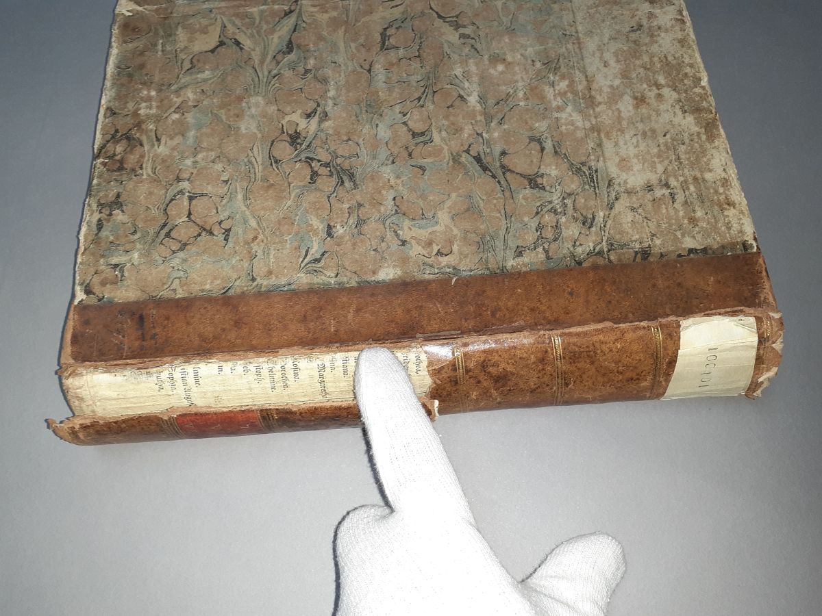 Buchpatenschaft: Vasi, Giuseppe: Raccolta delle piu belle vedute antiche, e moderne di Roma