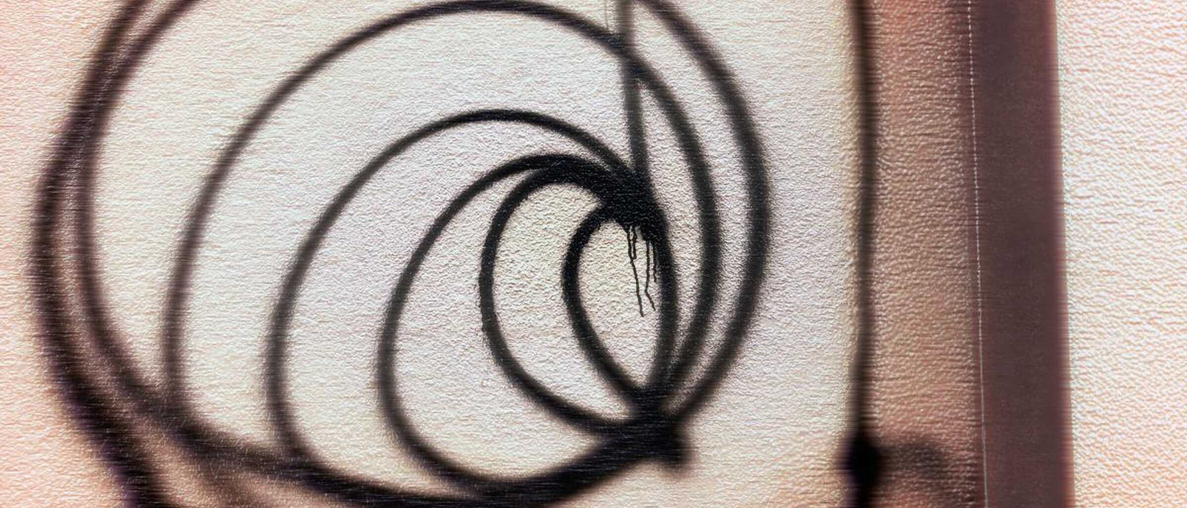 Marabou (Foto: Burghard Vogel)