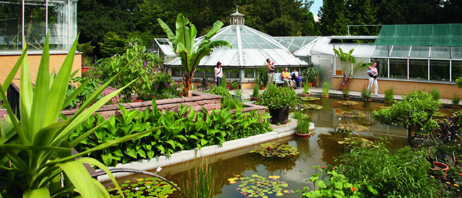Botanischer Garten Stiftung HändelHaus